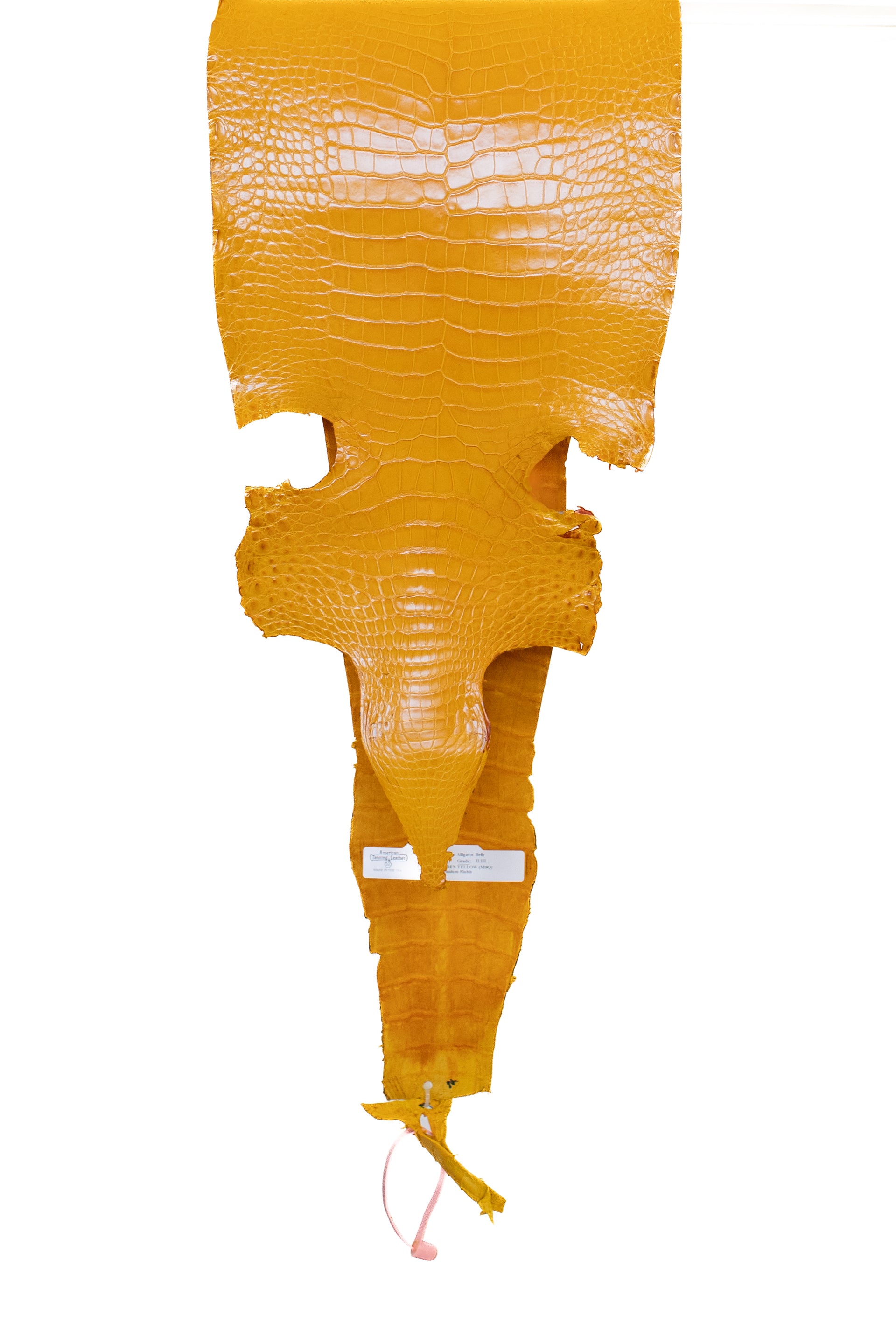 27 cm Grade 2/3 Golden Yellow Millennium Farm Raised American Alligator Leather - Tag: LA21-0308103