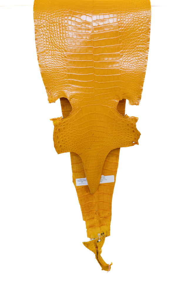 27 cm Grade 2/3 Golden Yellow Millennium Farm Raised American Alligator Leather - Tag: LA21-0308141