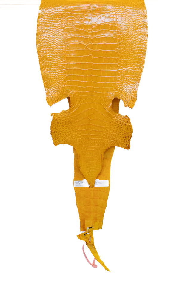30 cm Grade 2/3 Golden Yellow Millennium Farm Raised American Alligator Leather - Tag: LA21-0328718