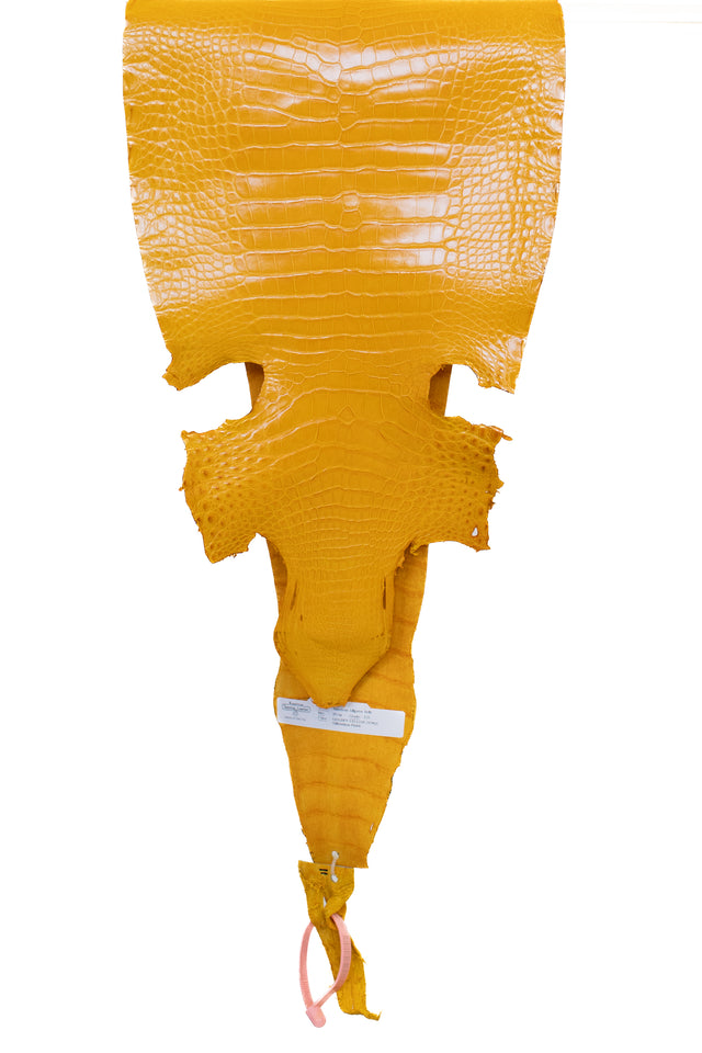 29 cm Grade 1/2 Golden Yellow Millennium Farm Raised American Alligator Leather - Tag: LA21-0328725