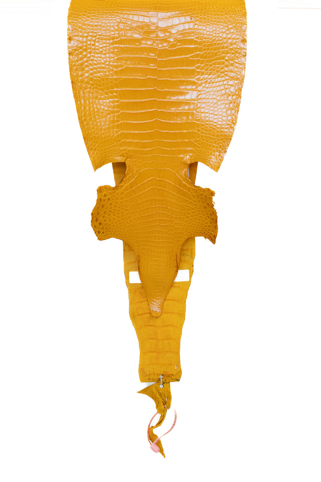 27 cm Grade 3/4 Golden Yellow Millennium Farm Raised American Alligator Leather - Tag: LA21-0328752