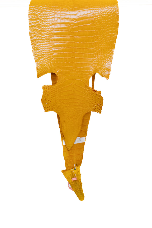 29 cm Grade 2/3 Golden Yellow Millennium Farm Raised American Alligator Leather - Tag: LA21-0328760