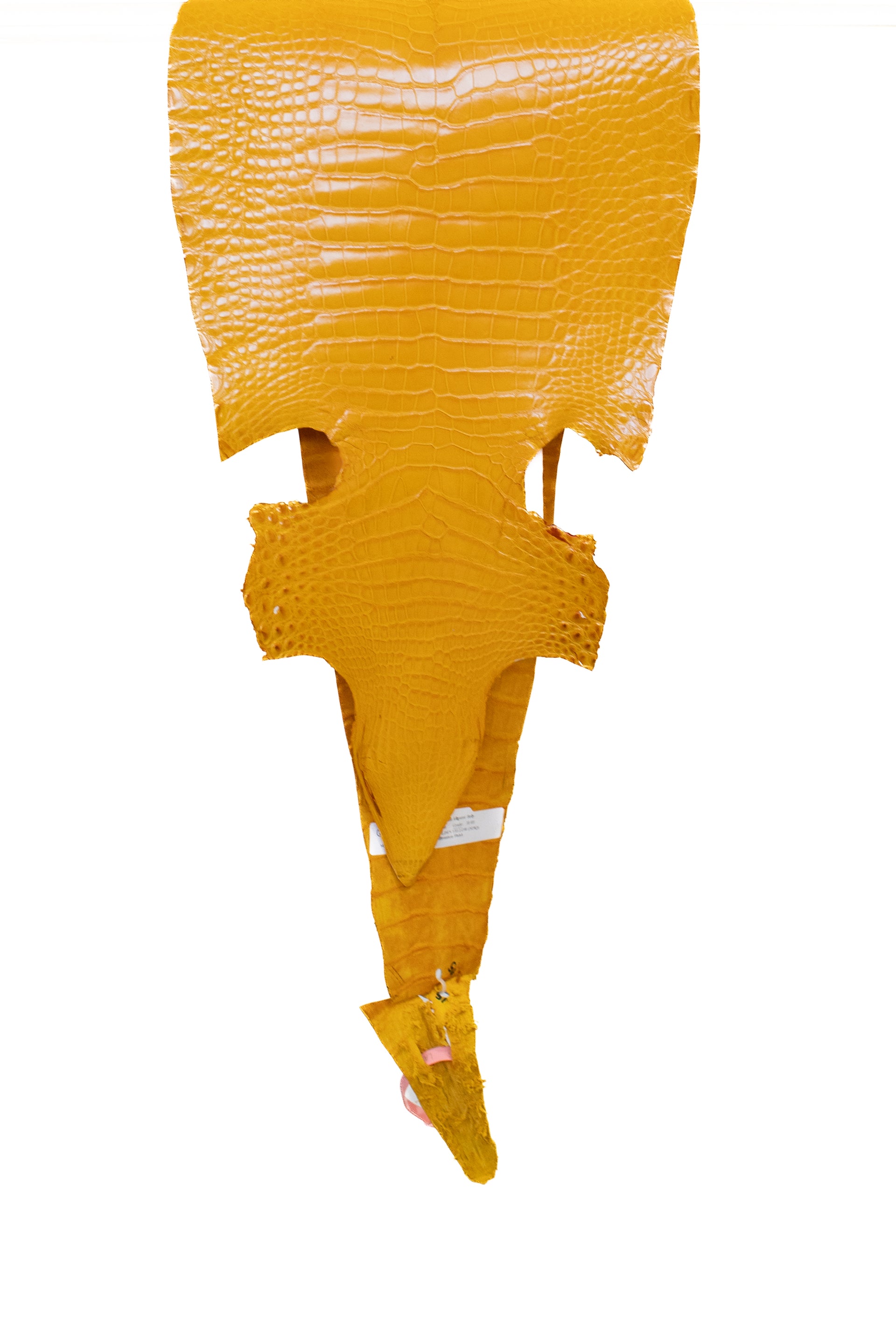 29 cm Grade 2/3 Golden Yellow Millennium Farm Raised American Alligator Leather - Tag: LA21-0328760
