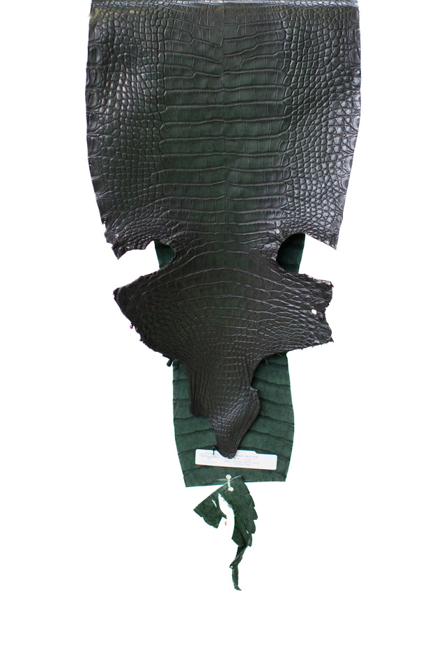 31 cm Grade 1 Forest Green/ Black Antique Farm American Alligator Leather - Tag: LS20-0375978