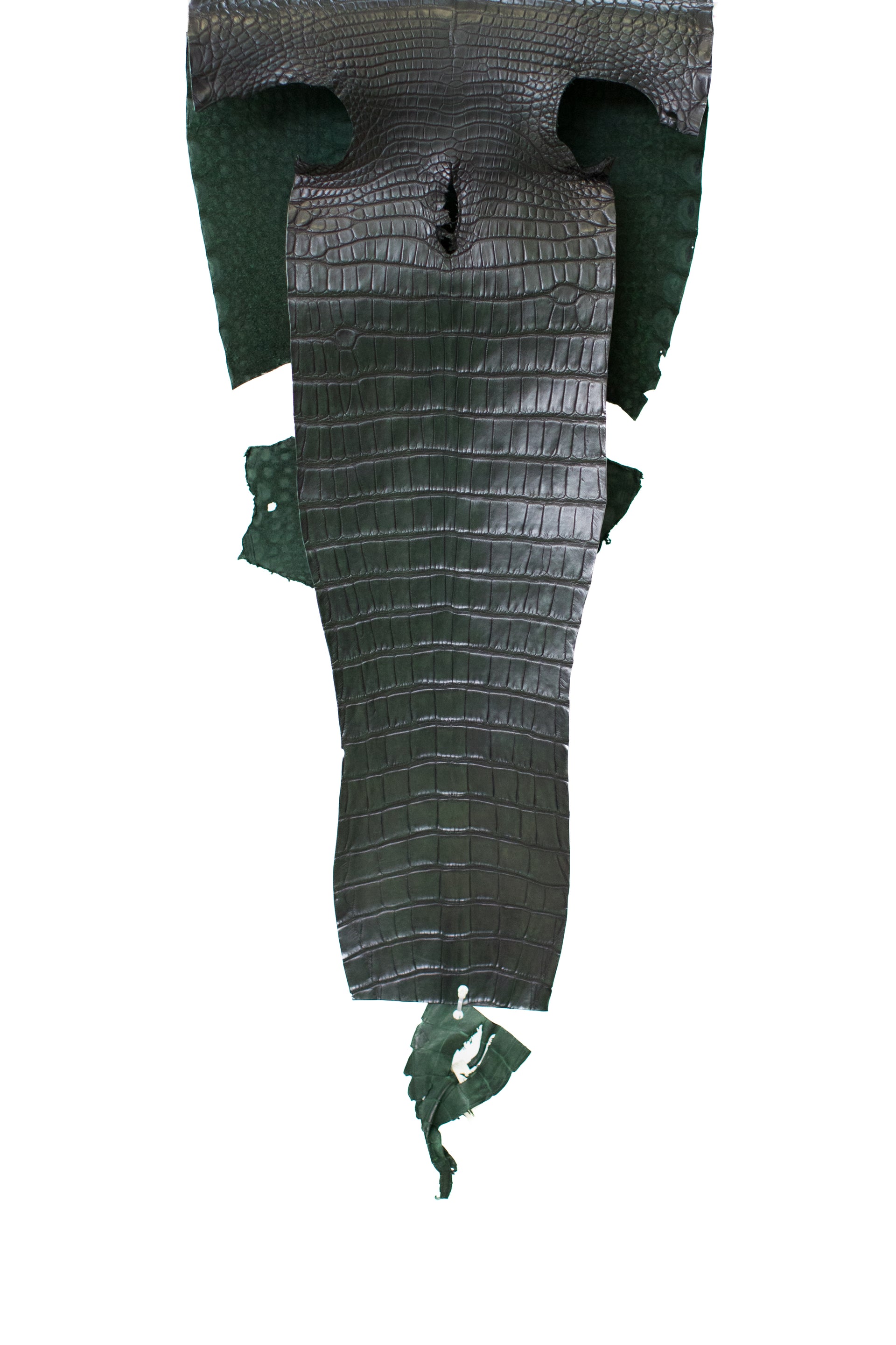 31 cm Grade 1 Forest Green/ Black Antique Farm American Alligator Leather - Tag: LS20-0375978