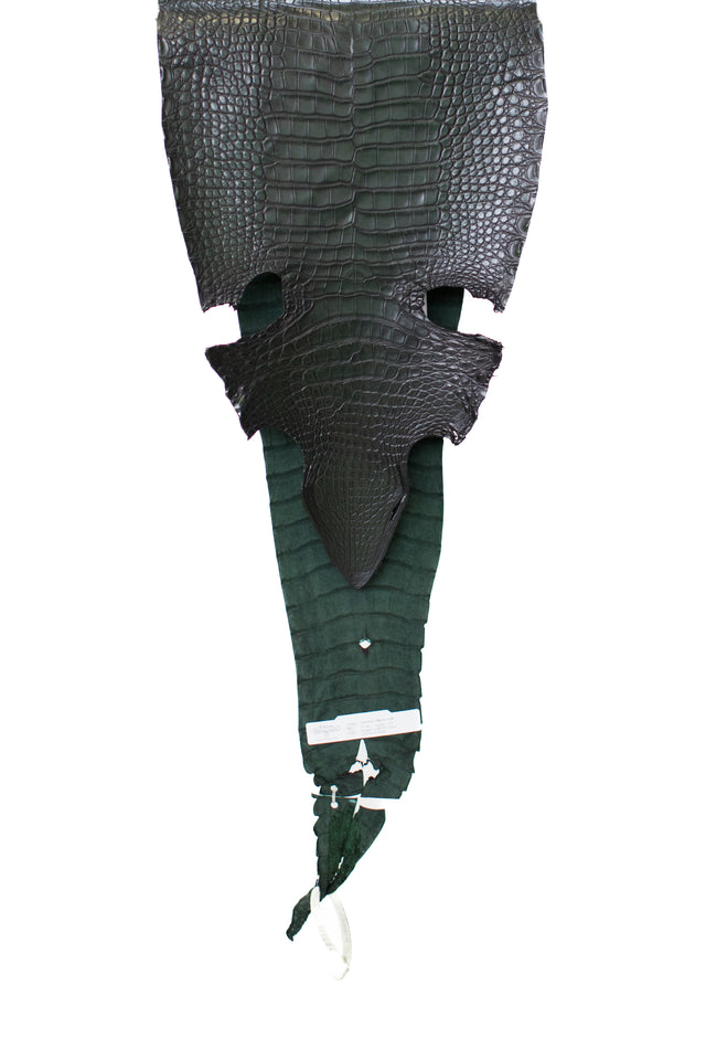 31 cm Grade 1/2 Forest Green/ Black Antique Farm American Alligator Leather - Tag: LS20-0376181