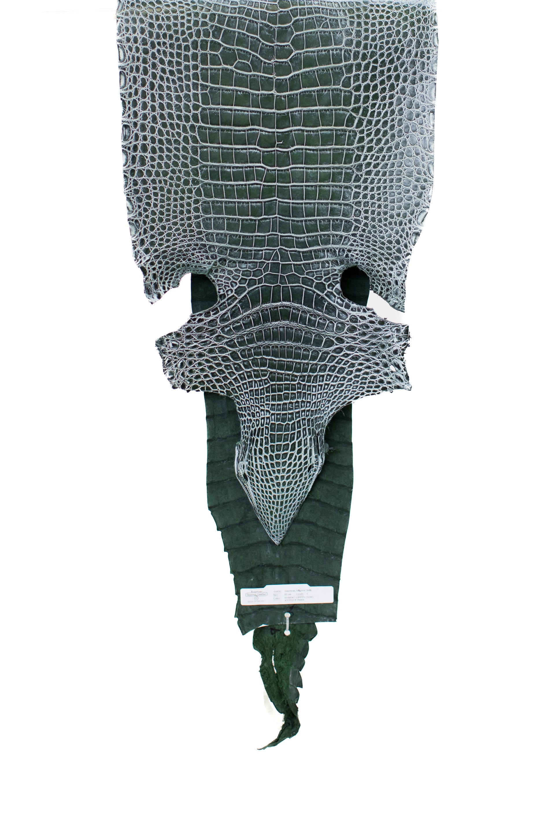 32 cm Grade 1 Forest Green/ White Antique Farm American Alligator Leather - Tag: LS20-0376806