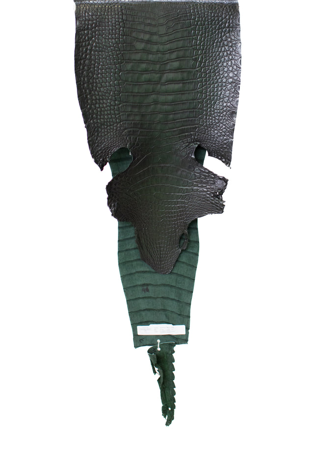 33 cm Grade 1/2 Forest Green/ Black Antique Farm American Alligator Leather - Tag: LS20-0376865