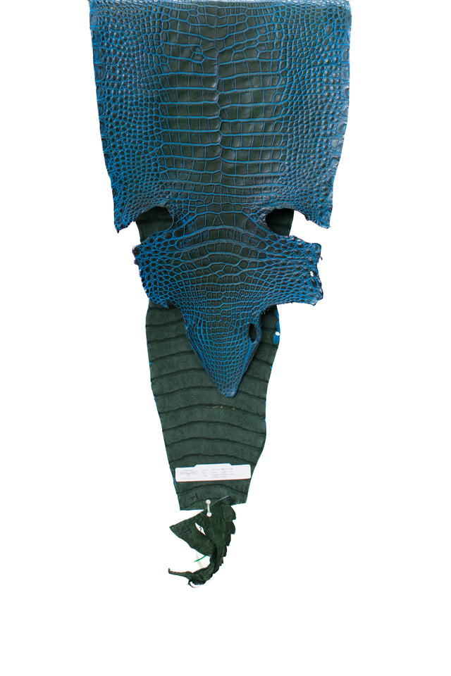 32 cm Grade 1/2 Forest Green/ Blue Antique Farm American Alligator Leather - Tag: LS20-0377069