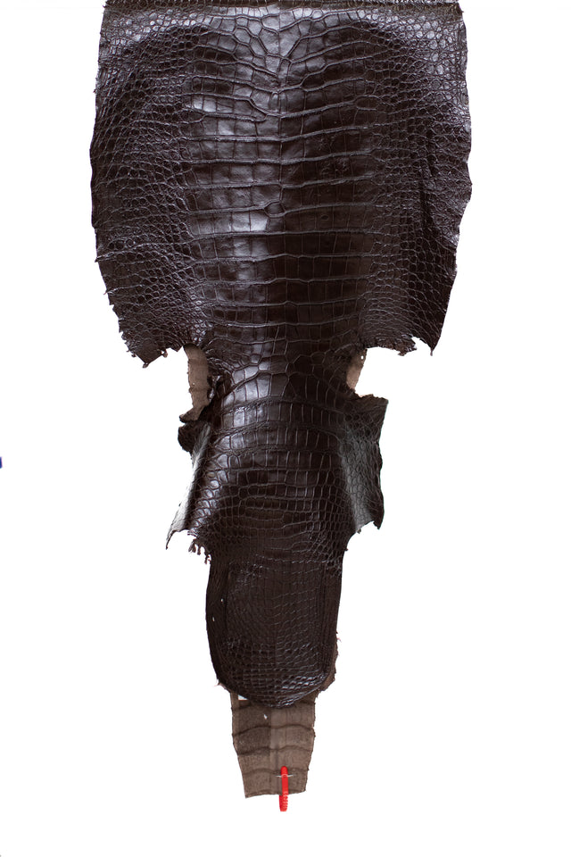 59 cm Grade 3/4 Testa Moro Millennium Wild American Alligator Leather - Tag: ITCC-0539957
