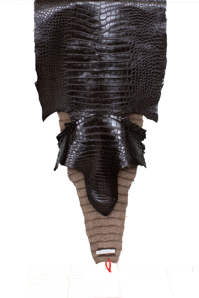 68 cm Grade 2/3 Testa Moro Millennium Wild American Alligator Leather - Tag: ITCC-0539916