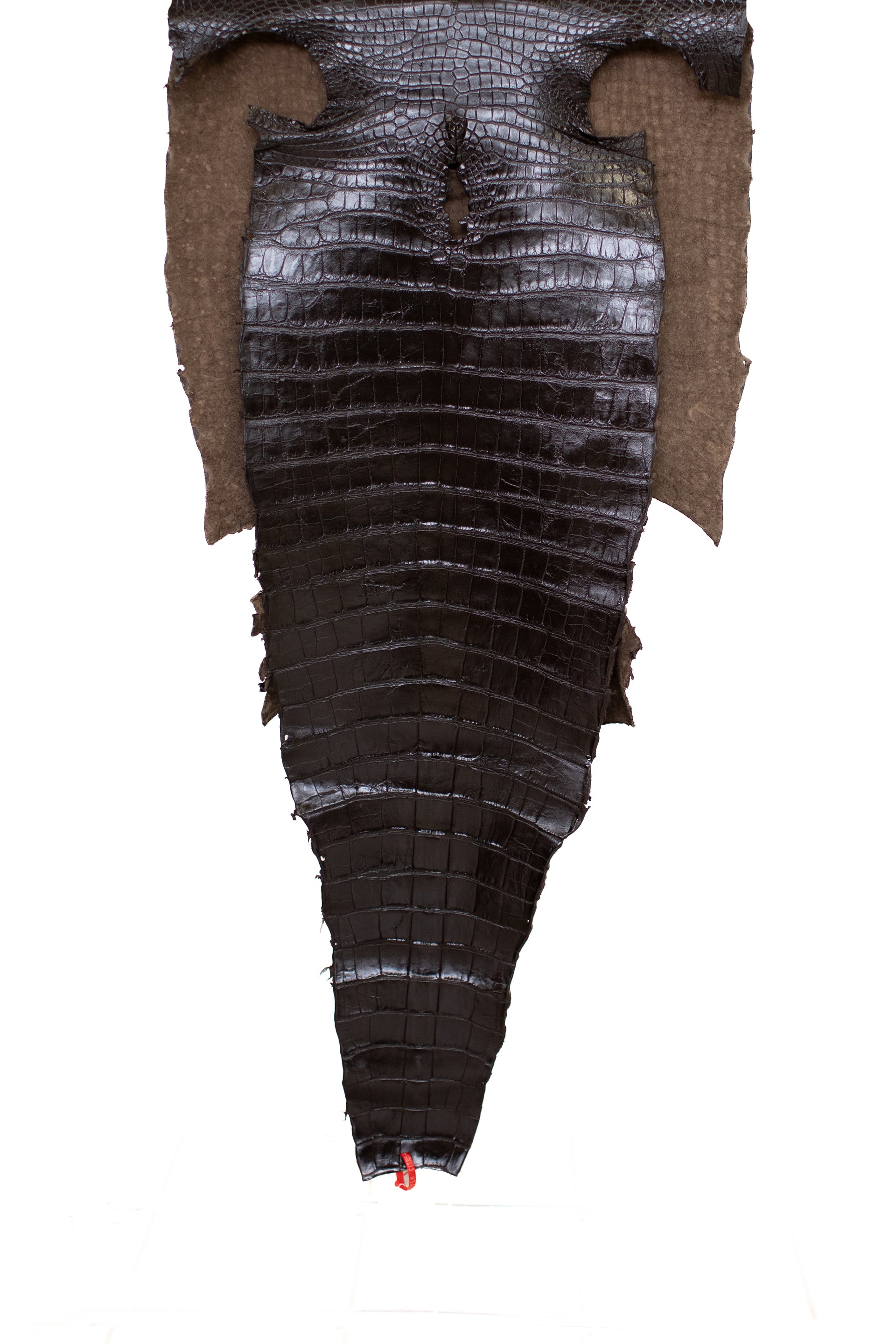 68 cm Grade 2/3 Testa Moro Millennium Wild American Alligator Leather - Tag: ITCC-0539916