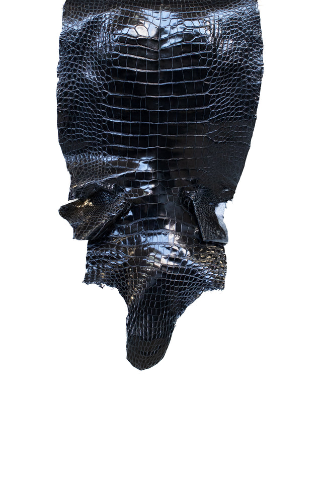 43 cm Grade 1/2 Navy Blue Glazed Wild American Alligator Leather - Tag: ITCC-0539920