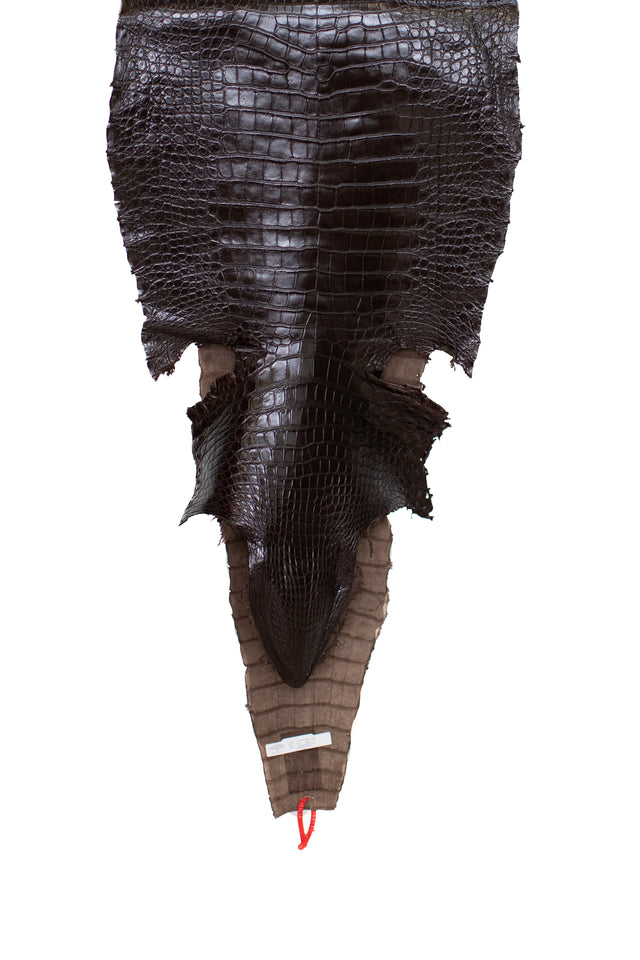 60 cm Grade 1/2 Testa Moro Millennium Wild American Alligator Leather - Tag: ITCC-0539958