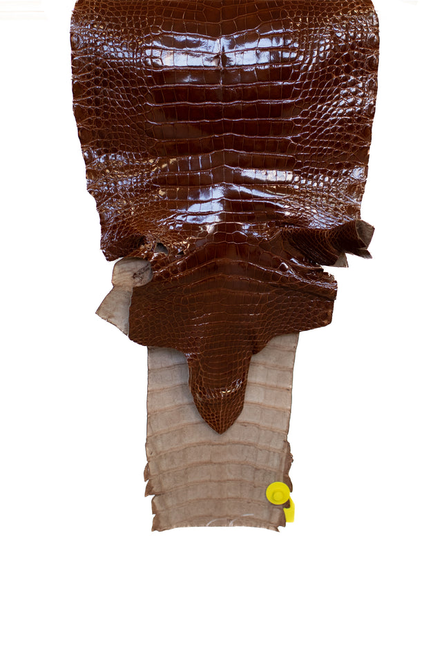 33 cm Grade 2/3 Peanut Glazed Wild American Alligator Leather - Tag: AT15-0812964