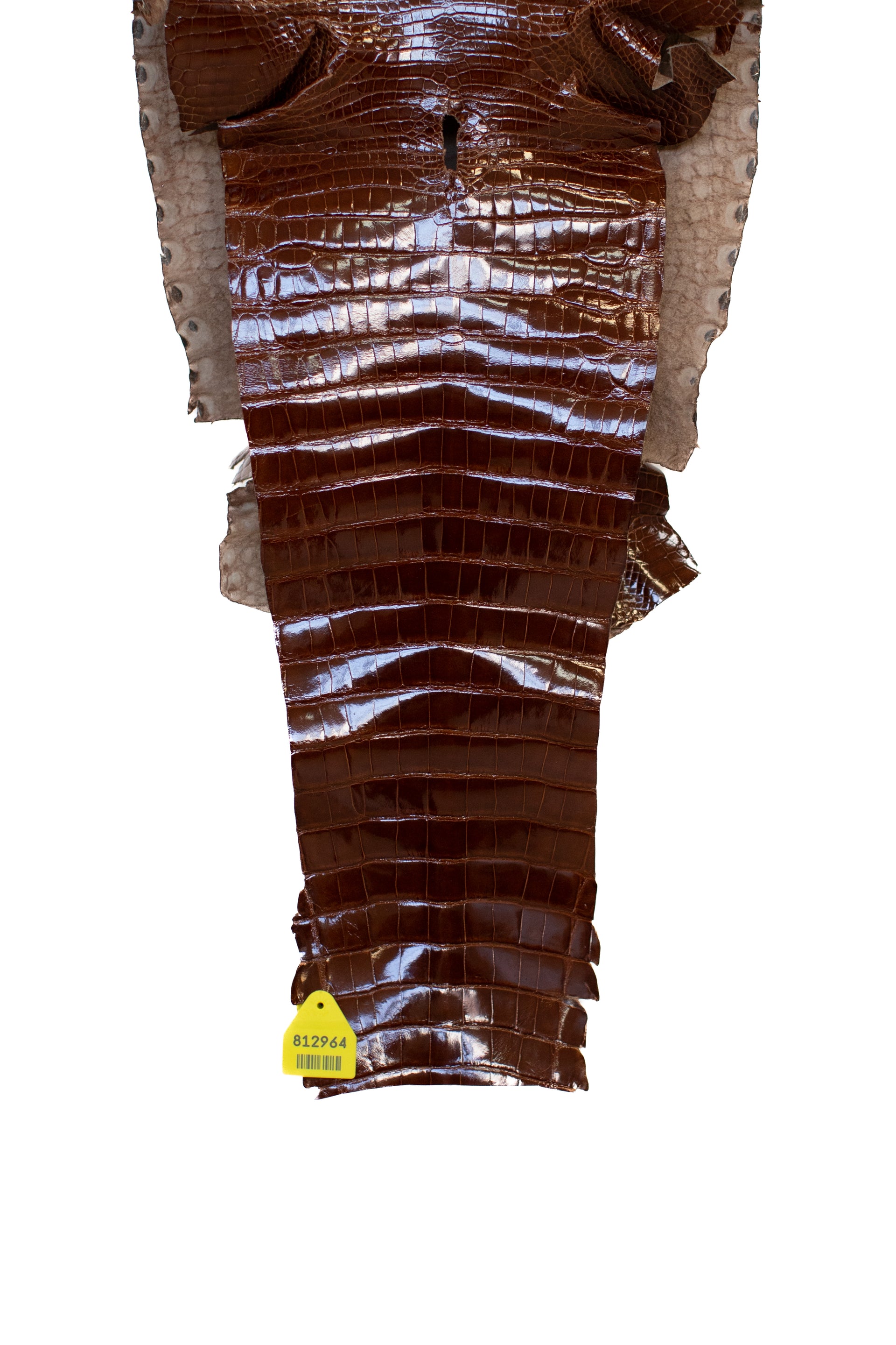 33 cm Grade 2/3 Peanut Glazed Wild American Alligator Leather - Tag: AT15-0812964