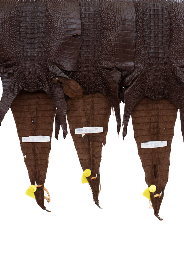 30/34 cm Grade 1/2 Chocolate Matte Farm Raised Hornback American Alligator Leather