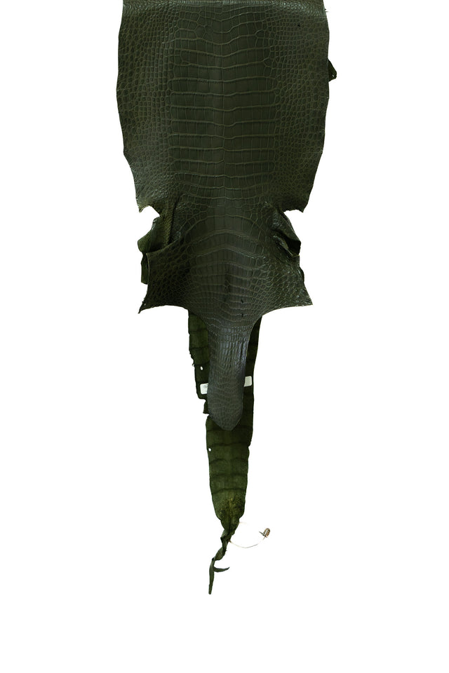 37 cm Grade 3/4 Olive Matte Wild American Alligator Leather - Tag: LA21-0101564
