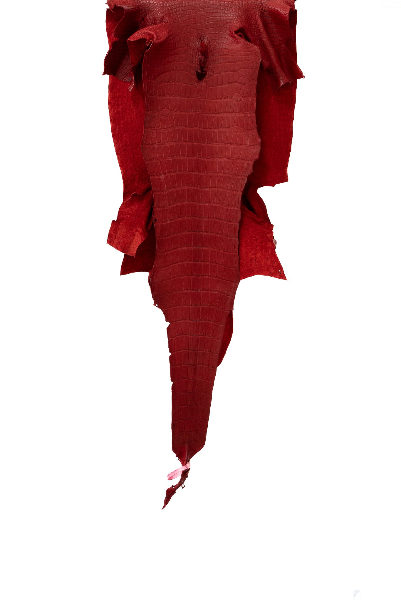 47 cm Grade 1/2 Candy Apple Red Matte Farm Raised American Alligator Leather - Tag: LA21-0102813