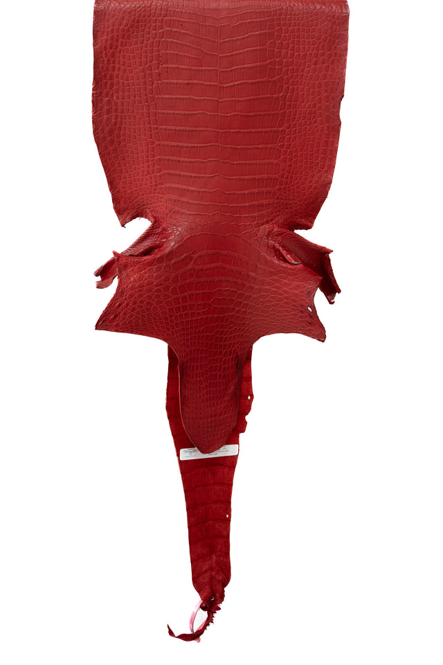 38 cm Grade 2/3 Candy Apple Red Matte Farm Raised American Alligator Skin - Tag: LA21-0122669