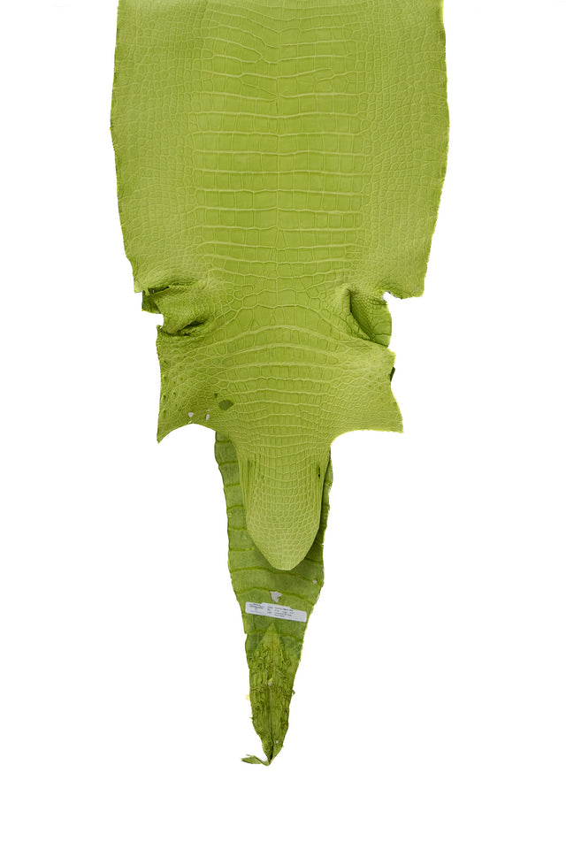 49 cm Grade 3/4 Chartreuse Matte Wild American Alligator Leather - Tag: LA19-0037044