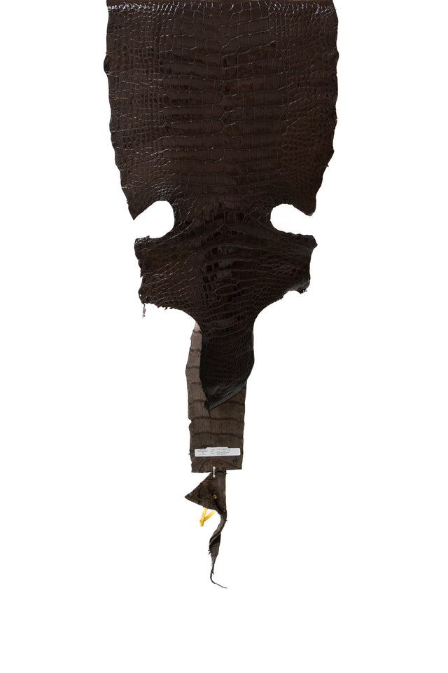 47 cm Grade 2/3 Chocolate Millennium Wild American Alligator Leather - Tag: LA22-0004047