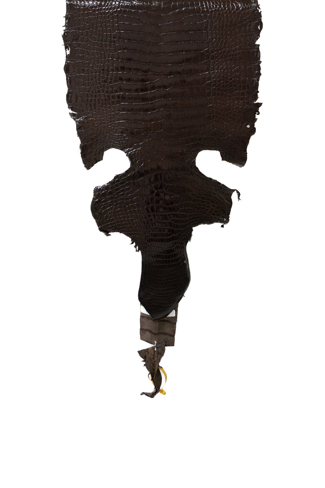 46 cm Grade 3/4 Chocolate Millennium Wild American Alligator Leather - Tag: LA22-0030426