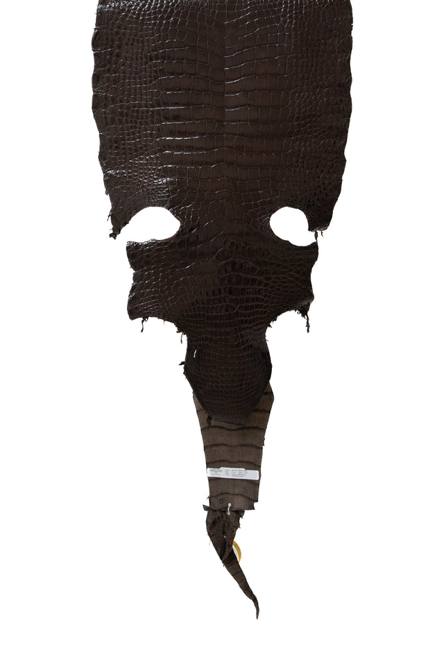47 cm Grade 3/4 Chocolate Millennium Wild American Alligator Leather - Tag: LA22-0021649