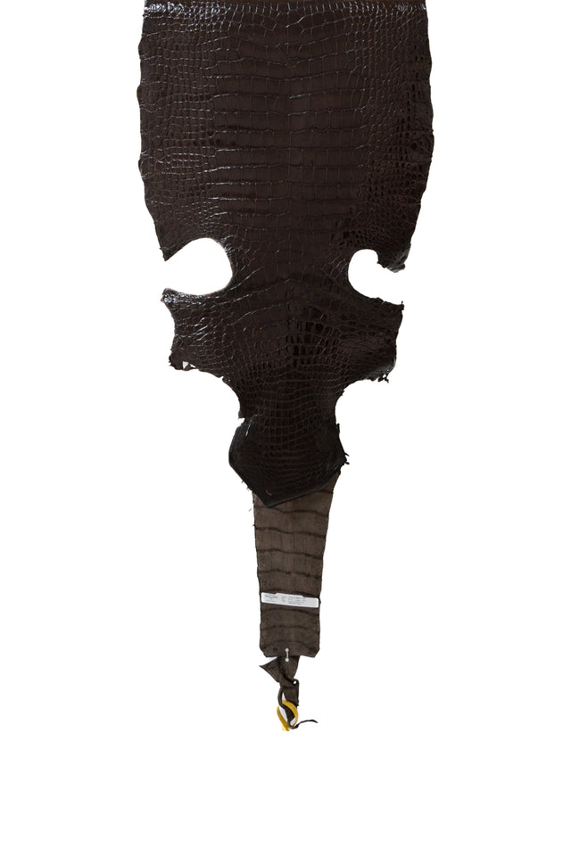 48 cm Grade 3/4  Chocolate Millennium Wild American Alligator Leather - Tag: LA22-0004527