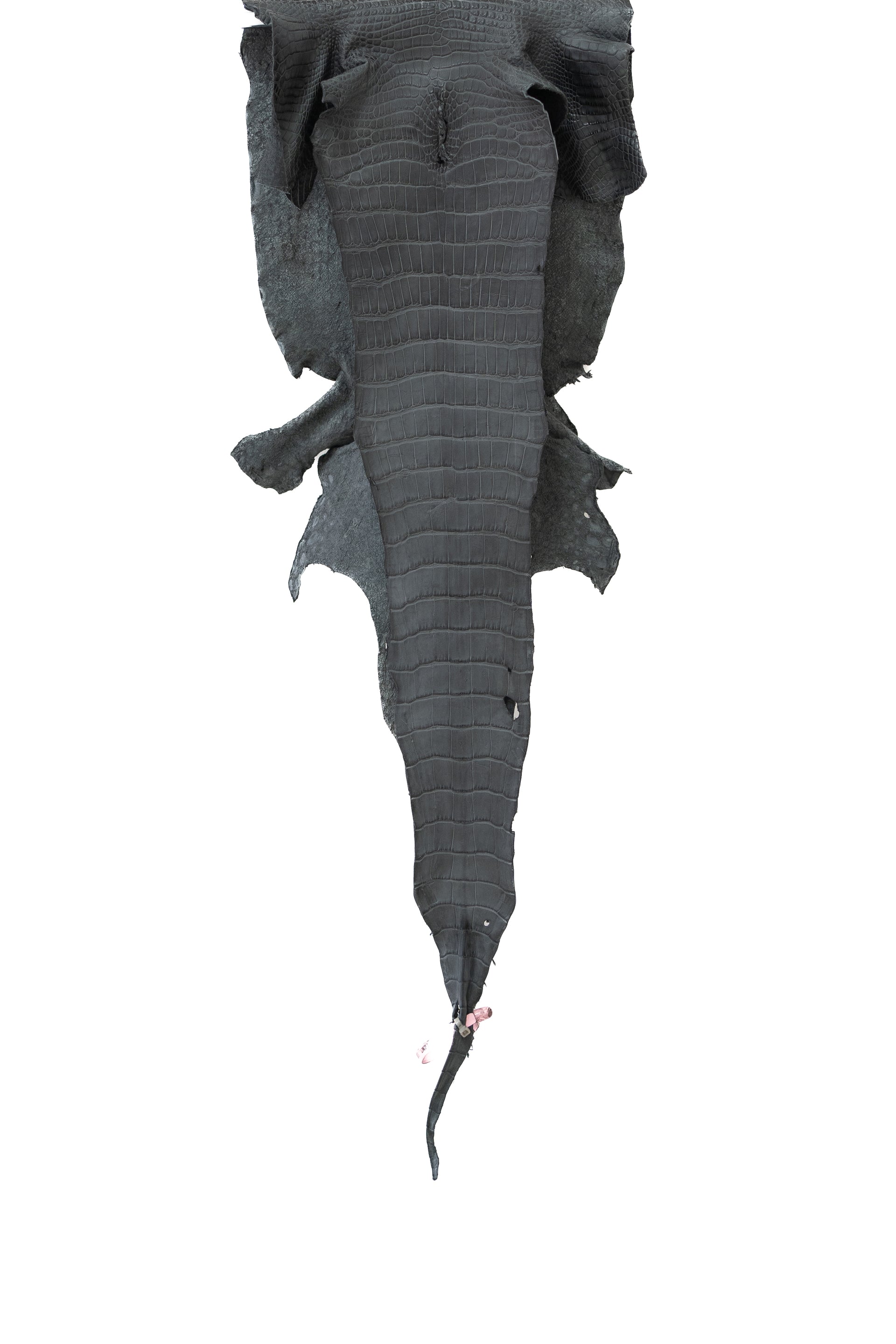 33 cm Grade 2/3 Serpentine Matte Wild American Alligator Leather - Tag: LA21-0101481