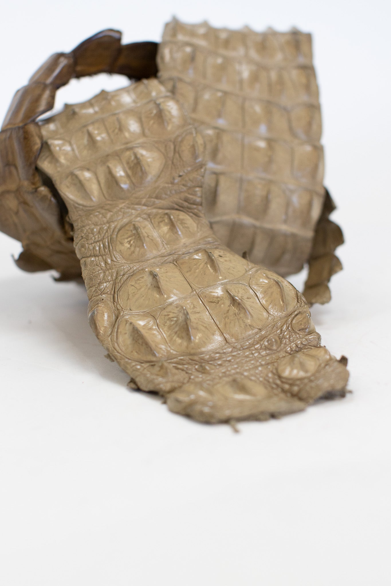 90-99 cm Grade 1 Oryx Matte Nile Crocodile Backstrap Leather