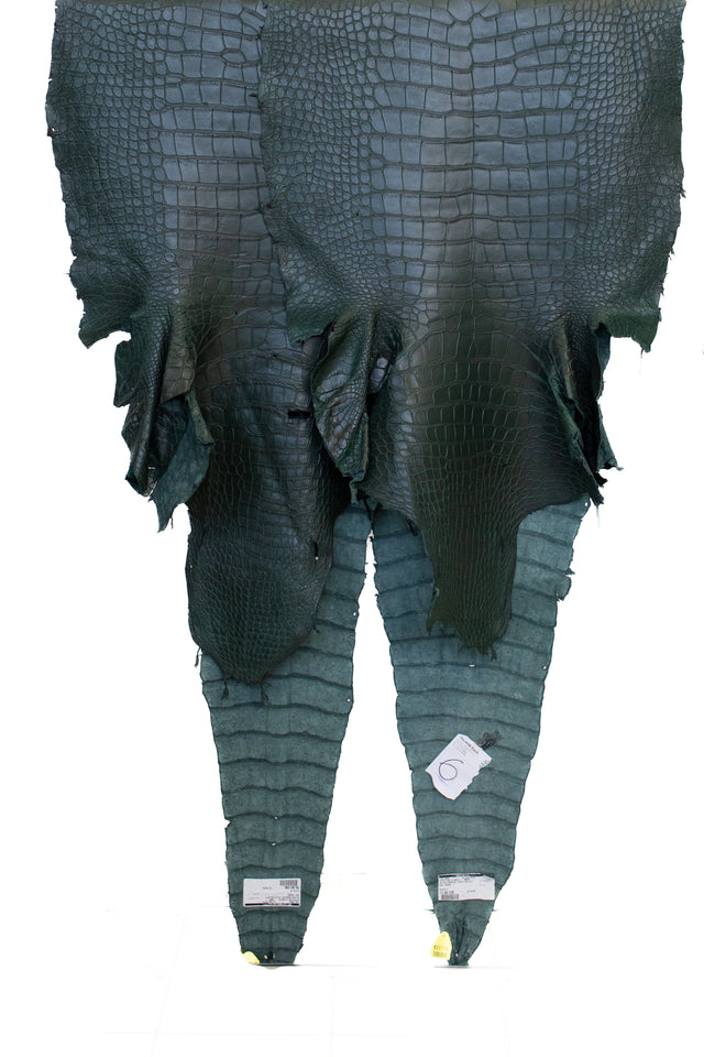 70+ cm Grade 2/3 Forest Green Matte Wild American Alligator Leather