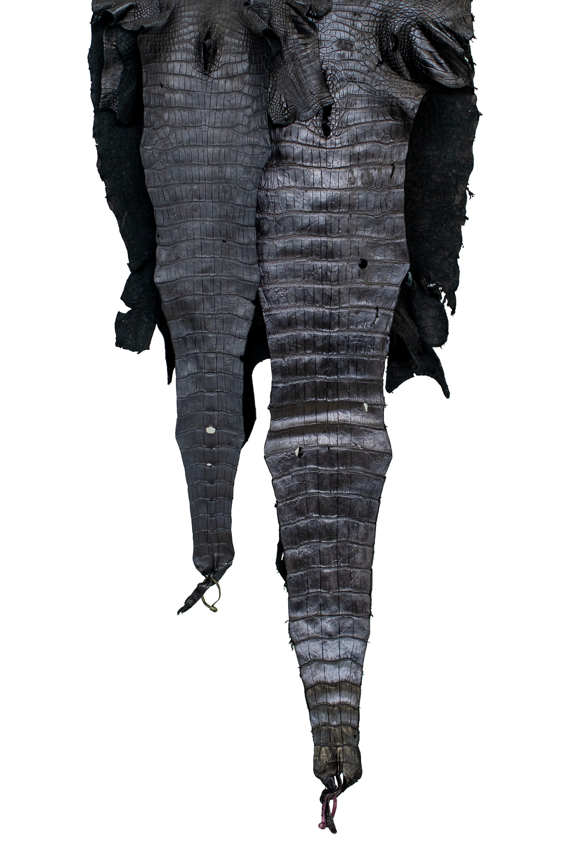 REJECTS | 51-68 cm Grade 4/5 Black Matte Wild American Alligator Leather