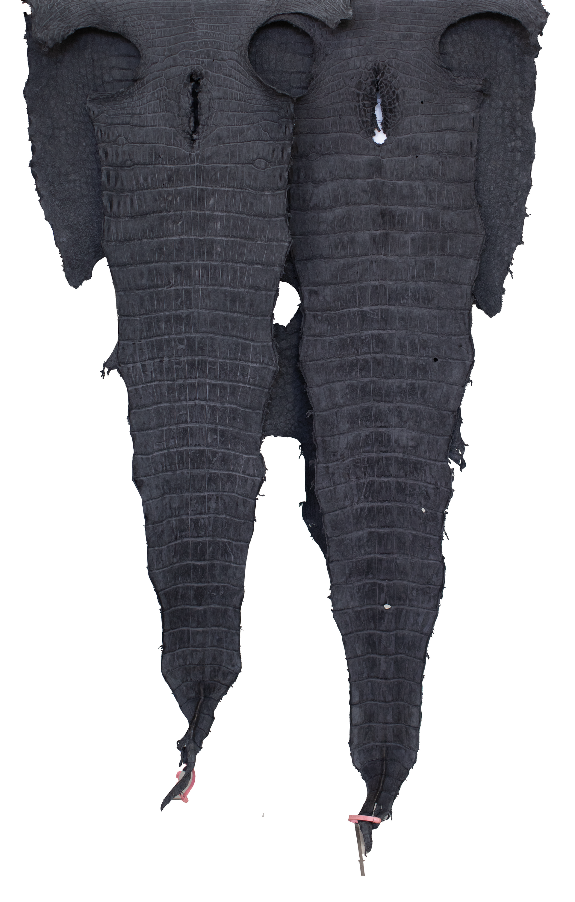 65+ cm Grade 3/4 Anthracite Nubuck Wild American Alligator Leather