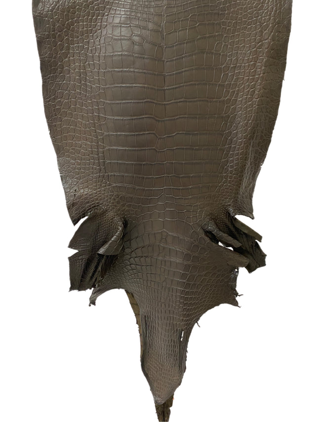 48 cm Grade 3/4 Nicotine Matte Wild American Alligator Leather - Tag: LA15-0013185