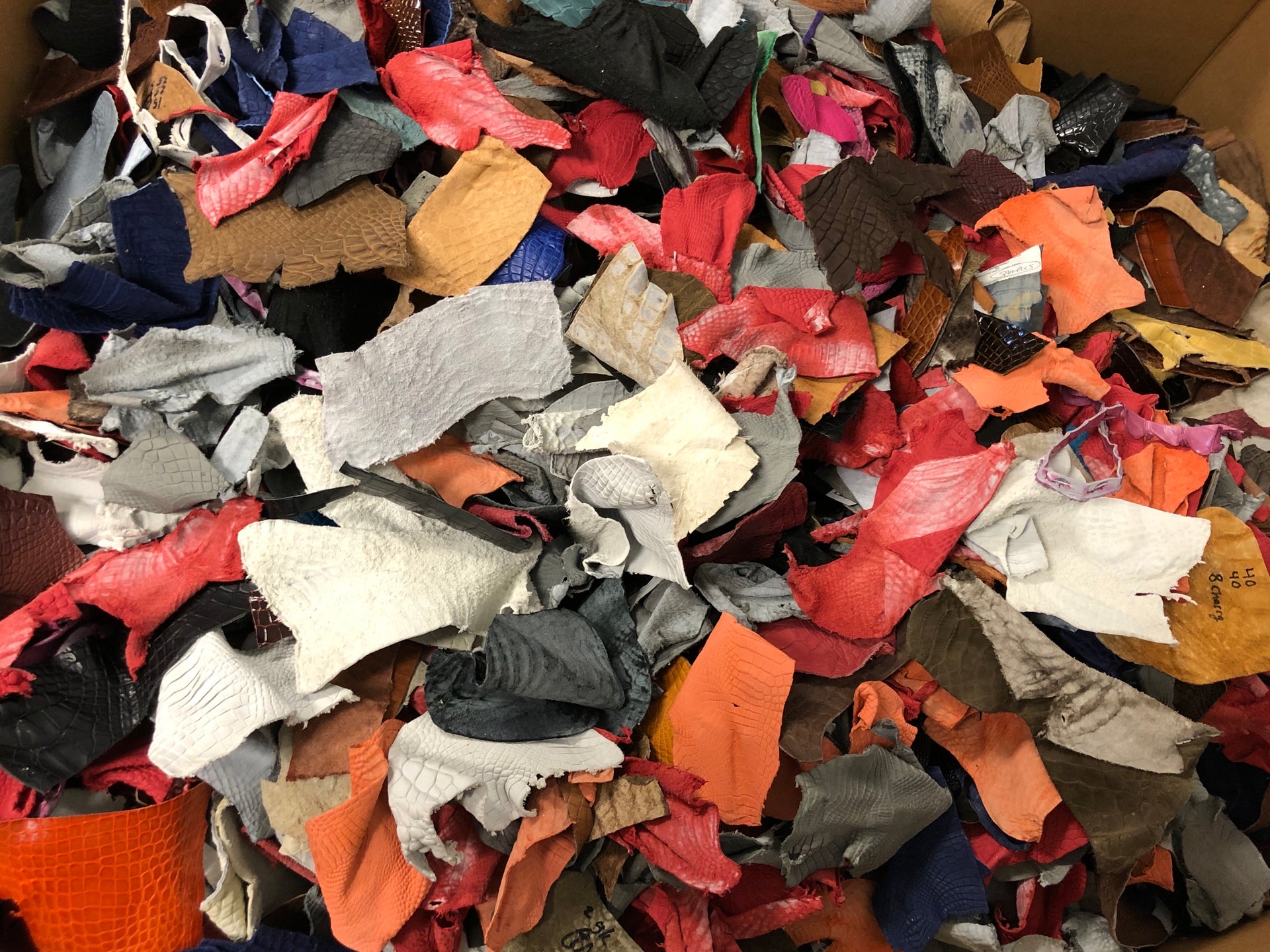 Exotic Leather Remnants  Exotic Leather Scraps – AMTAN