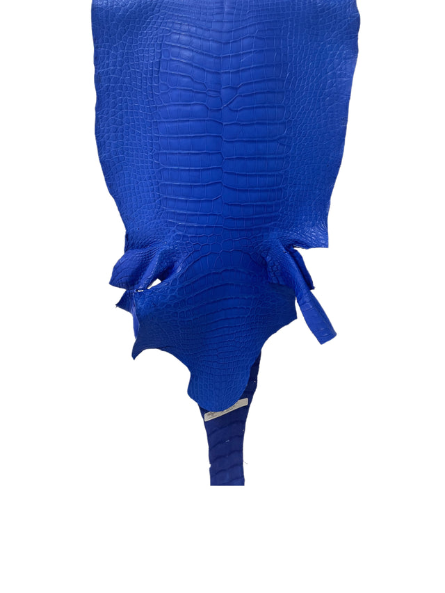 44 cm Grade 2/3 Mod Blue Matte Wild American Alligator Leather - Tag: LA17-0019579