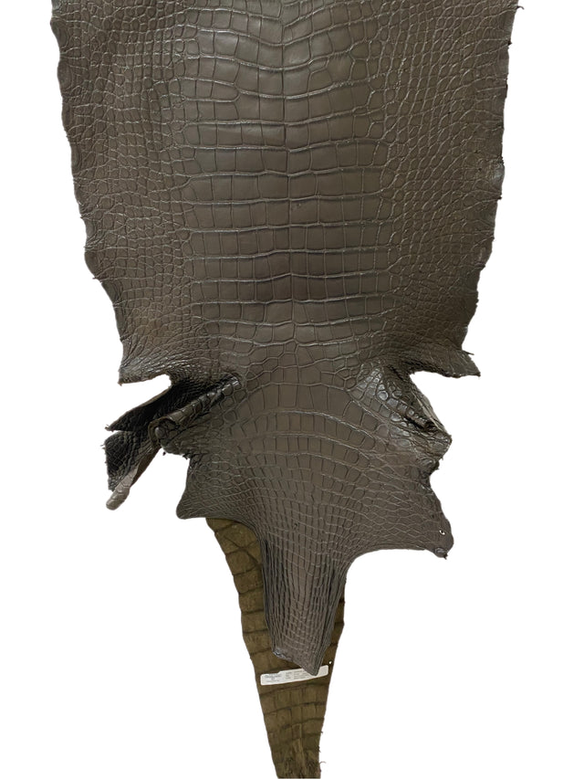 47 cm Grade 3/4 Nicotine Matte Wild American Alligator Leather - Tag: LA19-0036564
