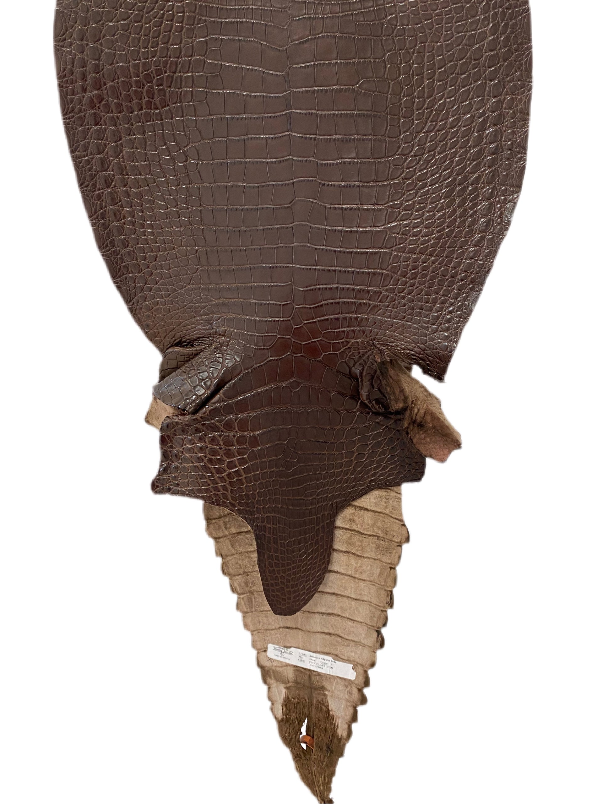 40 Cm Grade 1/2 Chocolate Matte Farm Raised American Alligator Leather - Tag: FL17-0052627