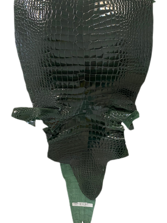 49 cm Grade 1/2 Forest Green Glazed Wild American Alligator Leather - Tag: LA17-0034082