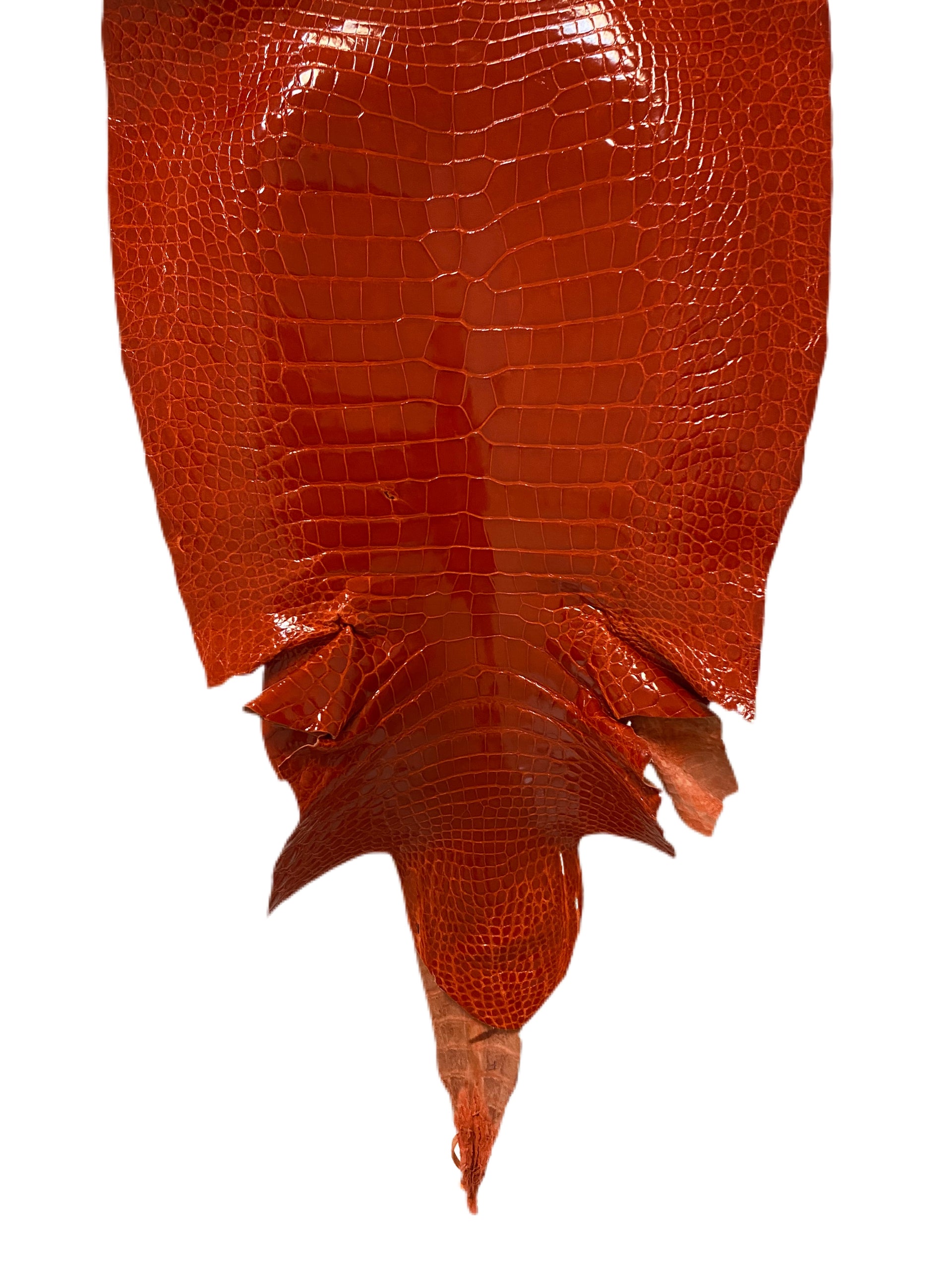 45 cm Grade 2/3 Mandarina Glazed Wild American Alligator Leather - Tag: LA16-0014240